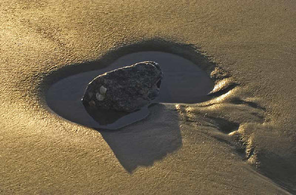 tidal pool on jekyll island